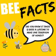 a cartoon bee with a speech bubble that says, bee facts did you know it takes 12 bees a life time to make one teaspoon of honey?