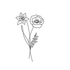 three flowers are shown in black and white on a white background, one is drawn by hand