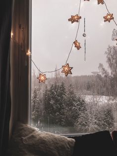 a window with christmas lights hanging from it's sides and snow covered trees in the background