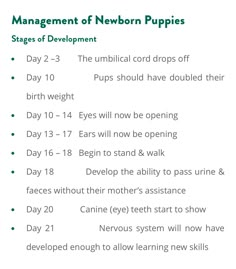 a table with instructions on how to use the newborn's napping schedule for babies