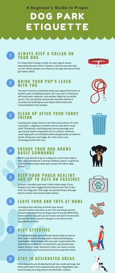 an info sheet describing how to use the dog park etiquette for your pet