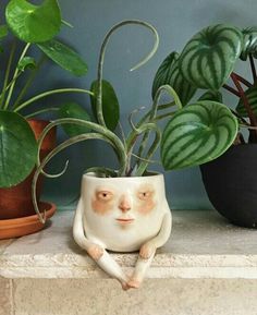 there is a potted plant with a face on it