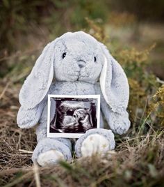 a stuffed bunny rabbit holding an x - ray image in its lap and sitting on the ground