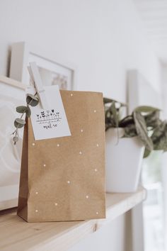 a brown paper bag sitting on top of a wooden shelf next to a potted plant