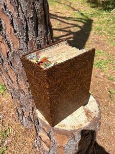 an open book sitting on top of a tree stump