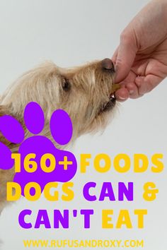 a person feeding a dog food out of their mouth with the words, 150 + foods dogs can and can't eat