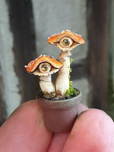 two tiny mushrooms sitting on top of a potted plant in someone's hand