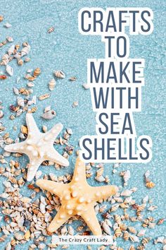 two starfishs and shells on a blue background with the words crafts to make with sea shells