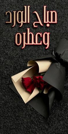 an open book with a rose in it on the floor next to a black bag