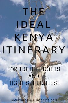 a tall tree with the words, the ideal kenya itinerary for tight and tight schedules