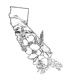 an outline drawing of the state of california with flowers and plants growing out of it