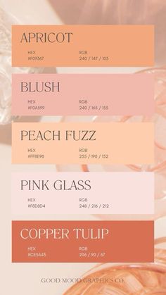 the different shades of pink, peach and green are shown in this graphic style poster