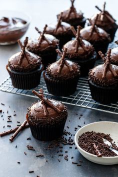 cupcakes with chocolate frosting and sprinkles on a cooling rack