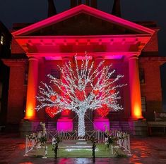 a lit up tree in front of a building with red and white lights on it