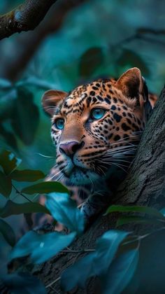 a close up of a leopard on a tree branch