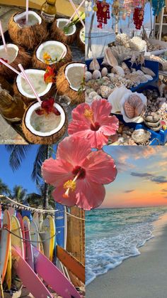 there are many different pictures that include coconuts, flowers and other things on the beach