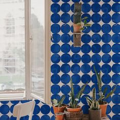 two potted plants sit on a table in front of a blue and white wall