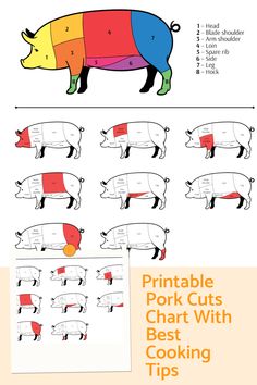 the diagram shows how to cut and color pig's body with different colors on it