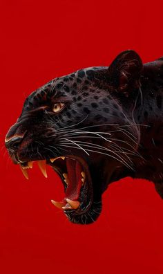 a black leopard with its mouth open and it's teeth wide open on a red background