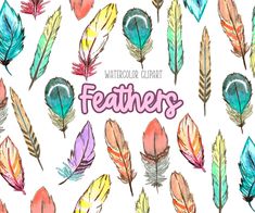 watercolor feathers on a white background with the words feathers written in pink and blue