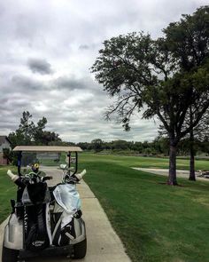 a golf cart parked on the side of a road next to a tree and grass covered field