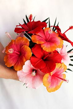 a woman holding a bouquet of red and orange flowers in her hand with white background