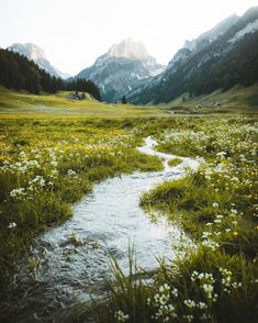 a small stream running through a lush green field with mountains in the backgroud