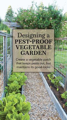 a garden filled with lots of green vegetables and plants next to a metal fence that says designing a pest - proof vegetable garden create a vegetable patch that keeps