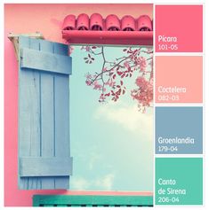 a pink wall with blue shutters and flowers on the window sill in front of it