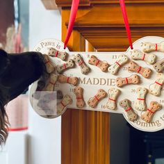 a dog sniffing a sign that says made with dogs bones and red ribbon on it