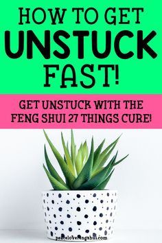 a potted plant with the words how to get unstuck fast