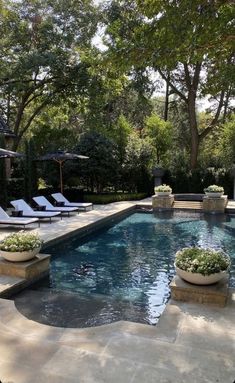 an outdoor swimming pool with lounge chairs and trees in the backgroung area