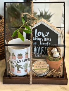 an assortment of coffee mugs and plants in a glass box on top of a table