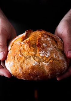 two hands holding a loaf of bread