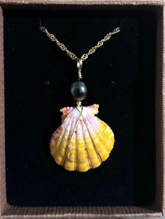 a yellow and white shell with a black bead on it's chain in a box