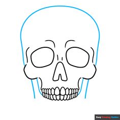 the outline of a skull is shown in blue and has no lower jawbones