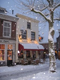 snow falling on the ground in front of a building with tables and chairs under a tree