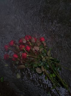 a bunch of roses that are laying on the ground in the rain with water droplets