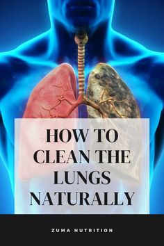 A Step by Step Guide to Cleaning the Lungs Clean Lungs, Improve Breathing, Reverse Gray Hair, The Respiratory System, Lymph System, Hormonal Health, Biology Facts, Holistic Diet