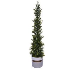 a tall potted tree in a white planter