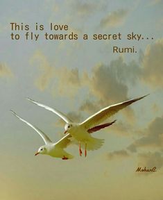 two white birds flying in the sky with a quote above them that reads, this is love to fly towards a secret sky rumi