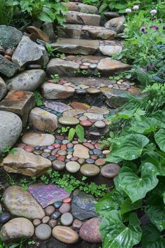 a stone path surrounded by plants and rocks