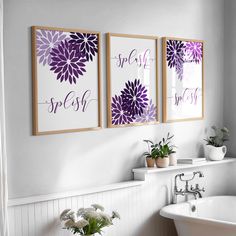 three purple and white flowers are hanging on the wall above a bathtub in this bathroom