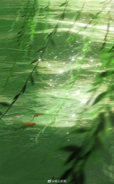 some fish are swimming in the water and it is green with sunlight shining on them