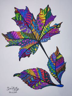 a drawing of two colorful leaves on a white background, one is multicolored