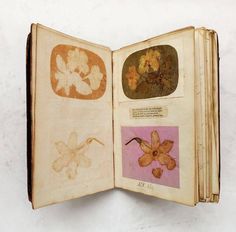 an open book with pictures of flowers on it