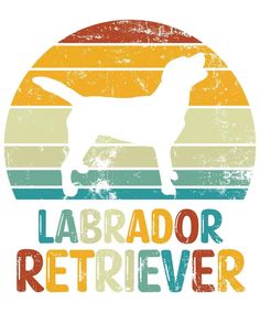 Funny Labrador Retriever Vintage Retro Sunset Silhouette Gifts Dog Lover Dog Owner Essential T-Shirt Shirt Advertisement