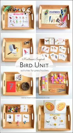 several pictures of different birds and numbers on trays with cards, magnets, and beads