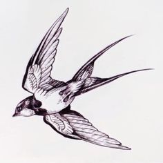 a drawing of a bird flying in the air