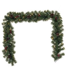 a christmas garland with pine cones and lights hanging from it's sides in front of a white background